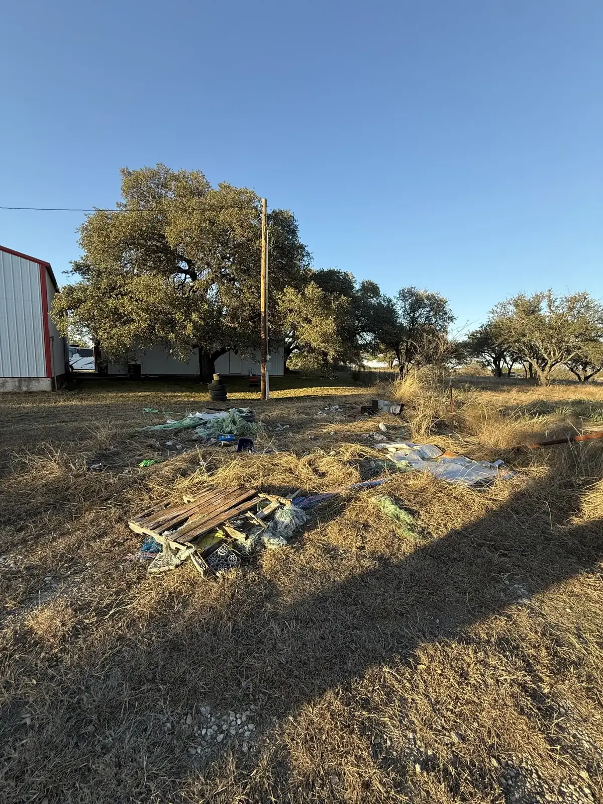 Property cleanup before - debris and overgrowth